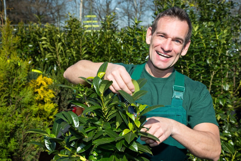 Gärtner bei der professionellen Gartenarbeit