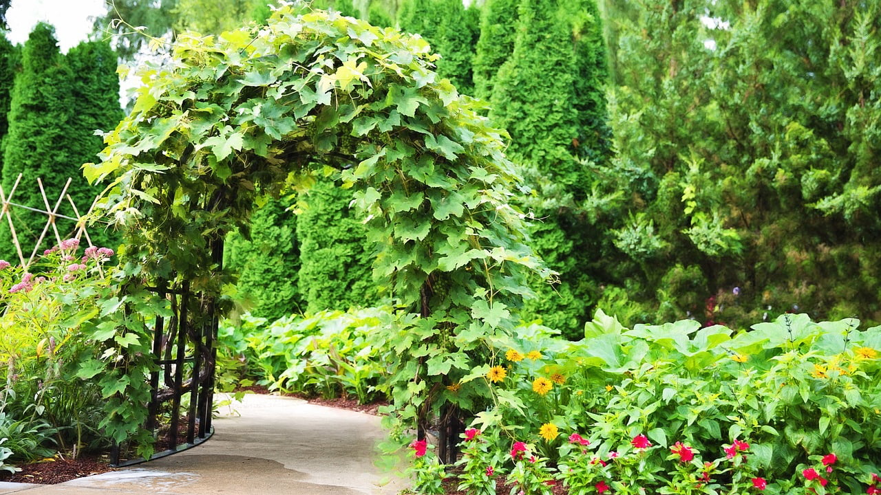 Gepflegter Schweizer Garten